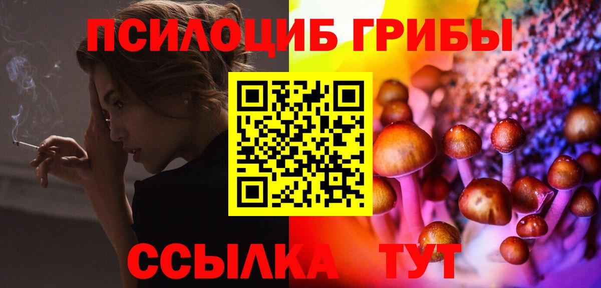 Псилоцибиновые грибы мицелий Красногорск