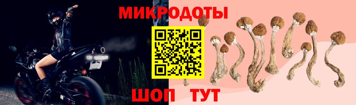 Красногорск  Галлюциногенные грибы Psilocybine cubensis  Вход с VPN 